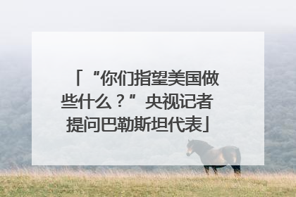 “你们指望美国做些什么？”央视记者提问巴勒斯坦代表